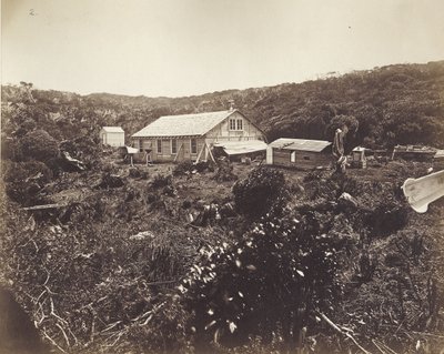 The German Transit of Venus Expedition, Auckland Islands, 1874-75 by Dr. Guido Wolfram